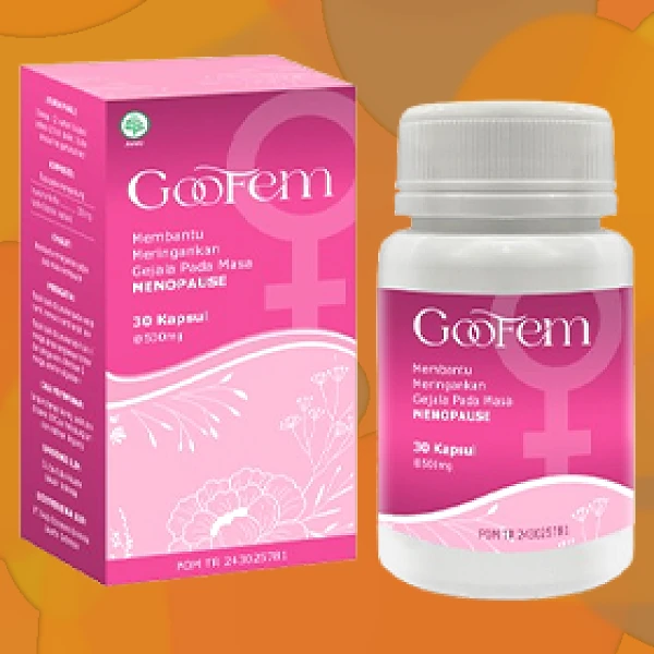 GOOFEM